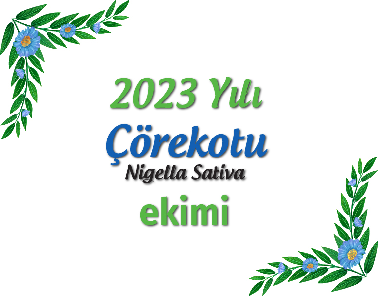 Çörekotu ekimi yapıldı.